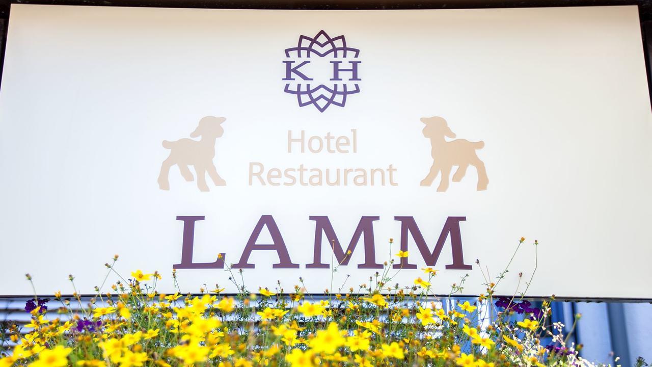 Lamm